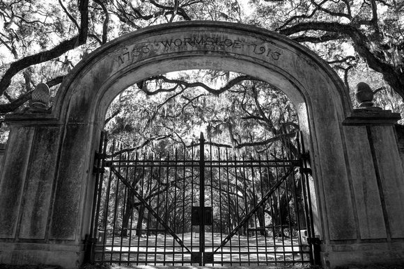 Wormsloe in Black and White